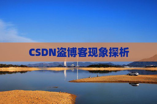 CSDN盗博客现象探析